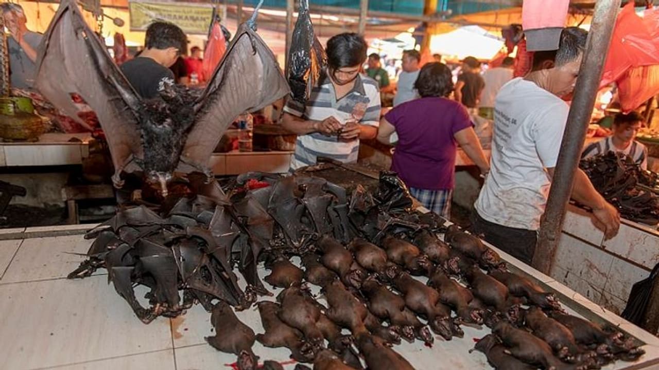 இதை நிறுத்தாவிட்டால், கொள்ளை நோய்கள் படையெடுப்பை தடுக்க முடியாது.!! தலையில் அடித்துக் கதறும் ஆராய்ச்சியாளர்கள் இதை நிறுத்தாவிட்டால், கொள்ளை நோய்கள் படையெடுப்பை தடுக்க முடியாது.!! தலையில் அடித்துக் கதறும் ஆராய்ச்சியாளர்கள்