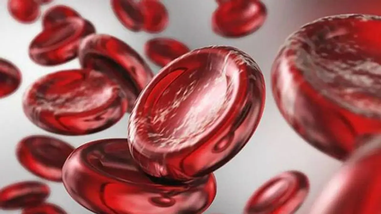 শরীরে হিমোগ্লোবিন বাড়াতে পাতে রাখুন এই সুপারফুড, রক্তের অভাব হবে না কোনওদিন শরীরে হিমোগ্লোবিন বাড়াতে পাতে রাখুন এই সুপারফুড, রক্তের অভাব হবে না কোনওদিন