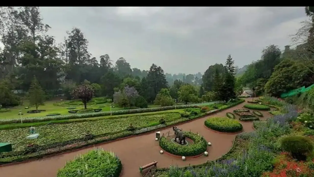 எப்படி இருந்த ஊட்டி இப்படி ஆயிடுச்சே...! பூத்து குலுங்கும் பூக்கள்... ரசிப்பதற்கு ஒருவரும் இல்லை...! எப்படி இருந்த ஊட்டி இப்படி ஆயிடுச்சே...! பூத்து குலுங்கும் பூக்கள்... ரசிப்பதற்கு ஒருவரும் இல்லை...!