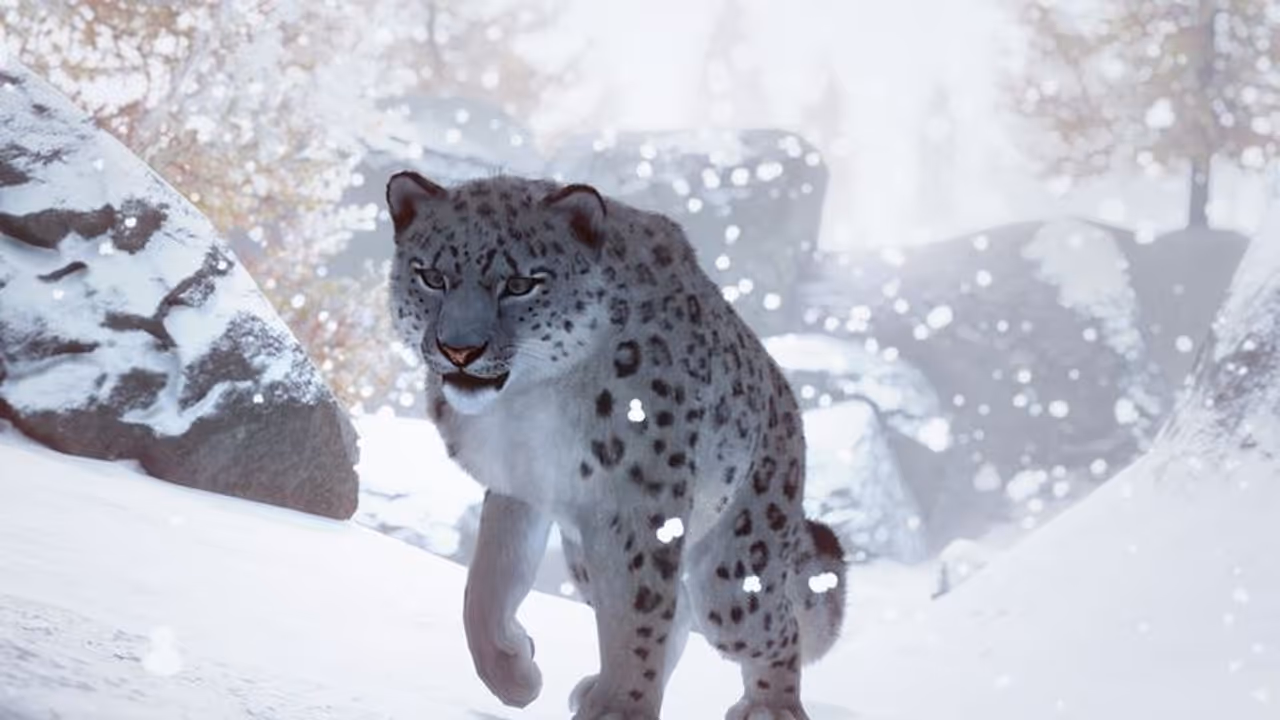 Risking his own life, how a 42 year old has rescued 47 snow leopards