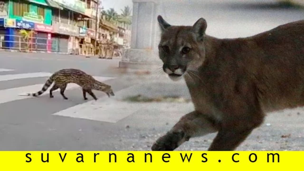 ಮನುಷ್ಯ ಮನೆಯಲ್ಲಿದ್ದರೆ ತಪ್ಪೆಲ್ಲವೂ ತೆಪ್ಪಗಾಗುತ್ತದೆ...