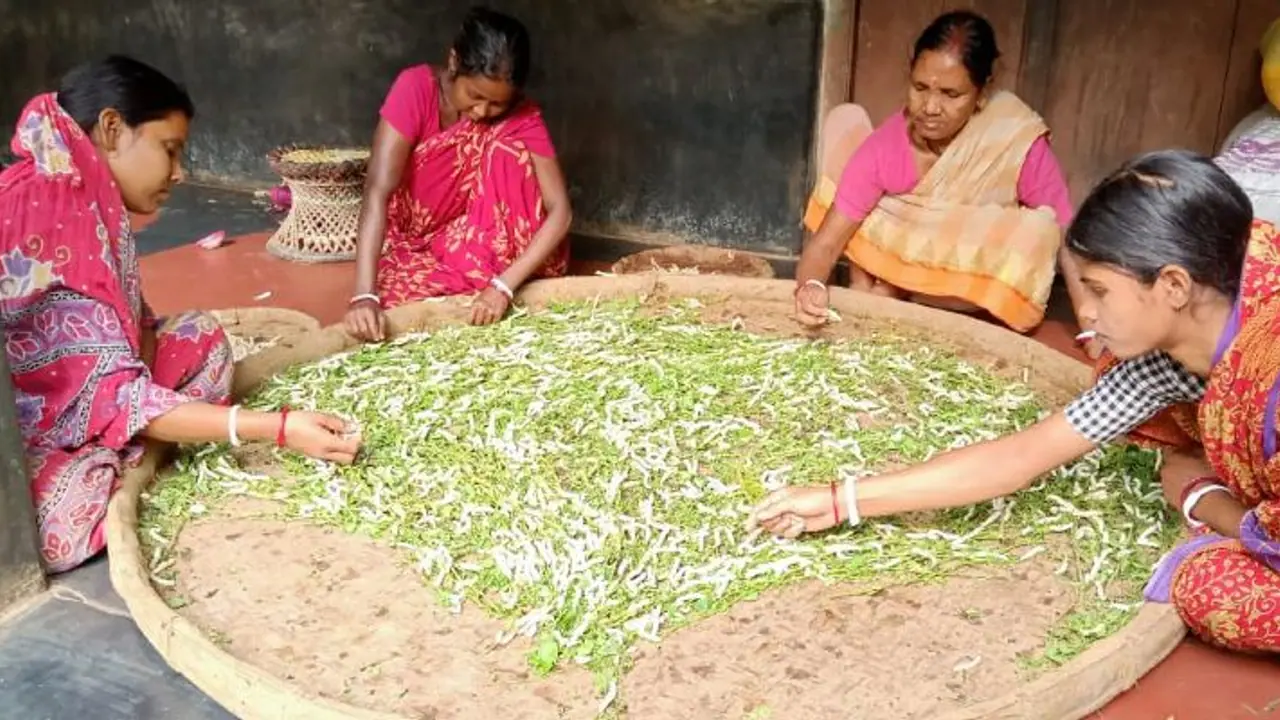 Karnataka Budget 2023: New sops for farmers, CM promotes GI tagged products Karnataka Budget 2023: New sops for farmers, CM promotes GI tagged products