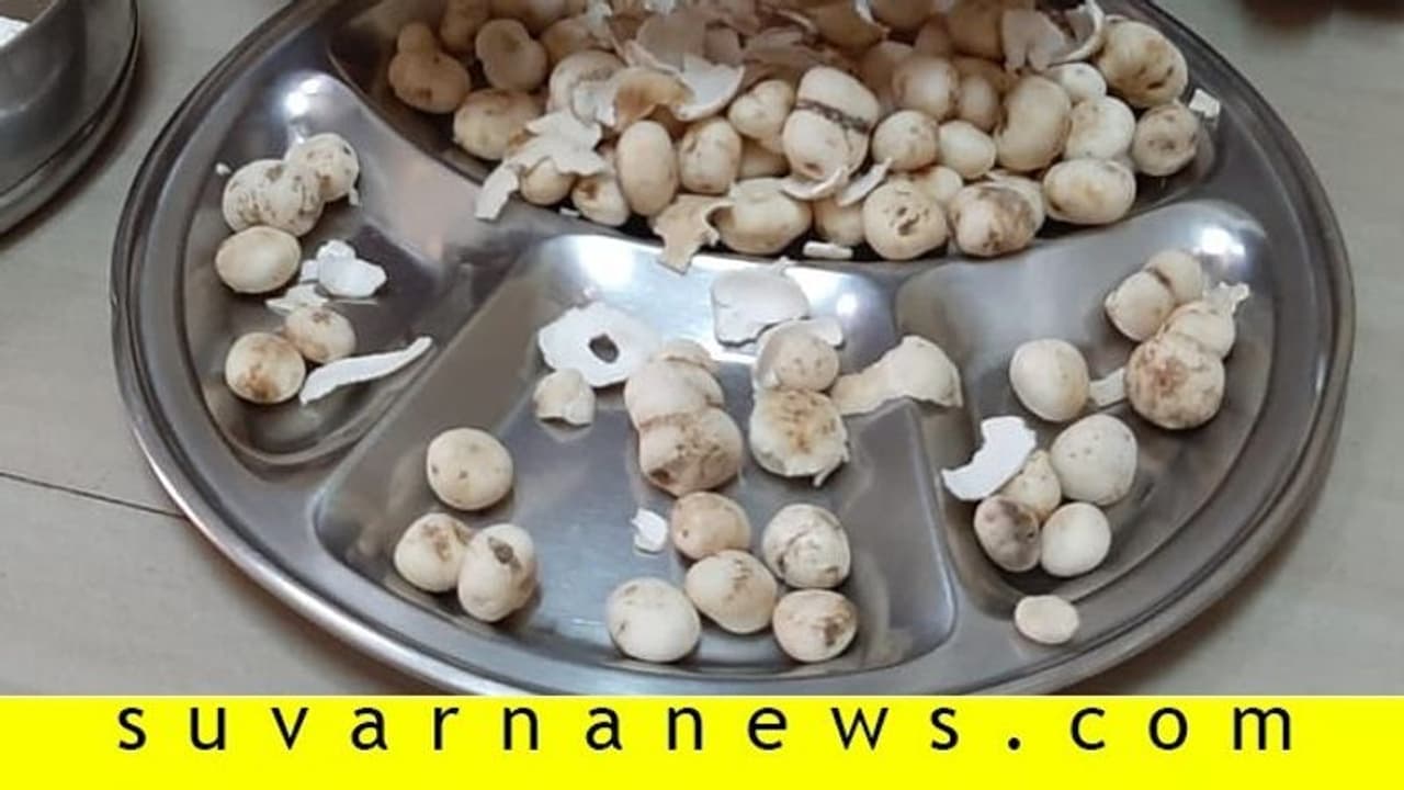 ಅಕಾಲಿಕ ಮಳೆಗೆ ಕಲ್ಲಣಬೆ ಮಾರುಕಟ್ಟೆಗೆ, ಕೆಜಿಗೆ 600..! ಅಕಾಲಿಕ ಮಳೆಗೆ ಕಲ್ಲಣಬೆ ಮಾರುಕಟ್ಟೆಗೆ, ಕೆಜಿಗೆ 600..!