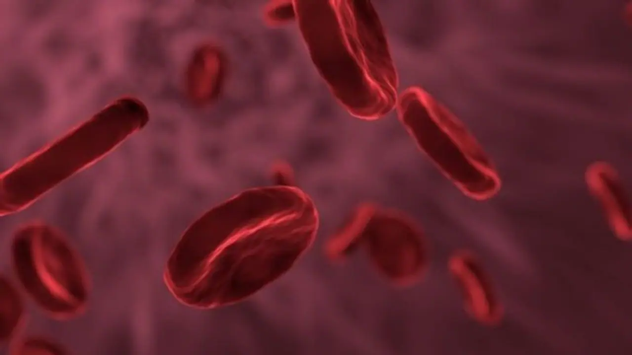 കൊറോണ വൈറസ് രക്തക്കുഴലുകളെയും ആക്രമിക്കാം; പുതിയ പഠനം