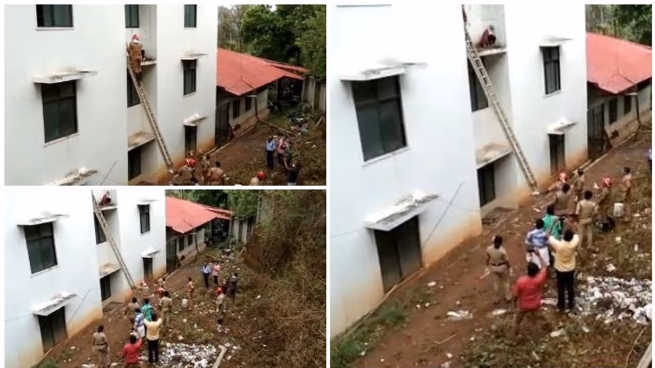 ഒറ്റപ്പാലത്ത് കൊവിഡ് കെയര് സെന്ററിന്റെ ജനല്വഴി രക്ഷപ്പെടാന് ശ്രമിച്ച യുവതി സണ്ഷെയ്ഡില് കുടുങ്ങി ഒറ്റപ്പാലത്ത് കൊവിഡ് കെയര് സെന്ററിന്റെ ജനല്വഴി രക്ഷപ്പെടാന് ശ്രമിച്ച യുവതി സണ്ഷെയ്ഡില് കുടുങ്ങി