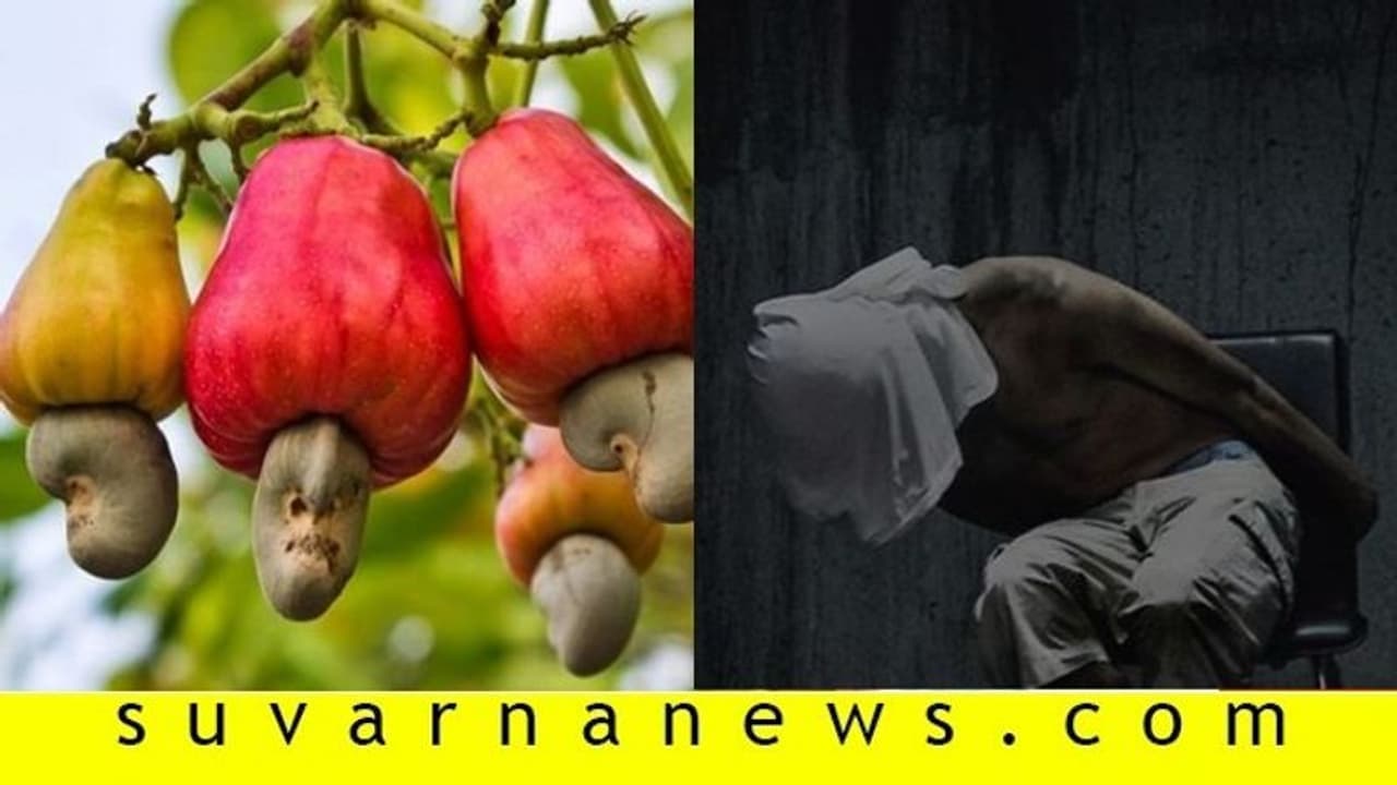 ಮನೆಕೆಲಸದವನಿಗೆ ಕಿರುಕುಳ: ಗುಡ್ಡೆಯಲ್ಲಿ ಉಳಿದು, ಗೇರುಹಣ್ಣು ತಿಂದು ಬದುಕಿದ ಮನೆಕೆಲಸದವನಿಗೆ ಕಿರುಕುಳ: ಗುಡ್ಡೆಯಲ್ಲಿ ಉಳಿದು, ಗೇರುಹಣ್ಣು ತಿಂದು ಬದುಕಿದ