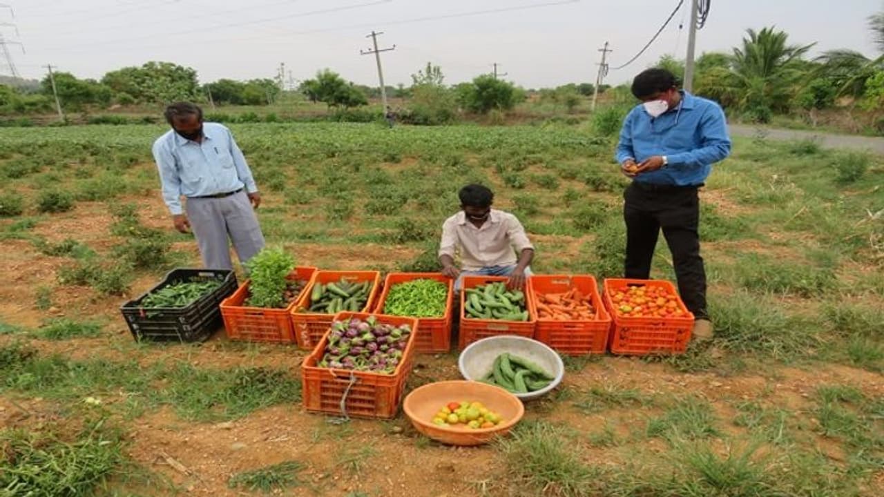 ಲಾಕ್‌ಡೌನ್‌ ಮಧ್ಯೆಯೂ ತರಕಾರಿ ಮಾರಾಟದಿಂದ ಲಾಭ ಗಳಿಸಿದ ರೈತ..!