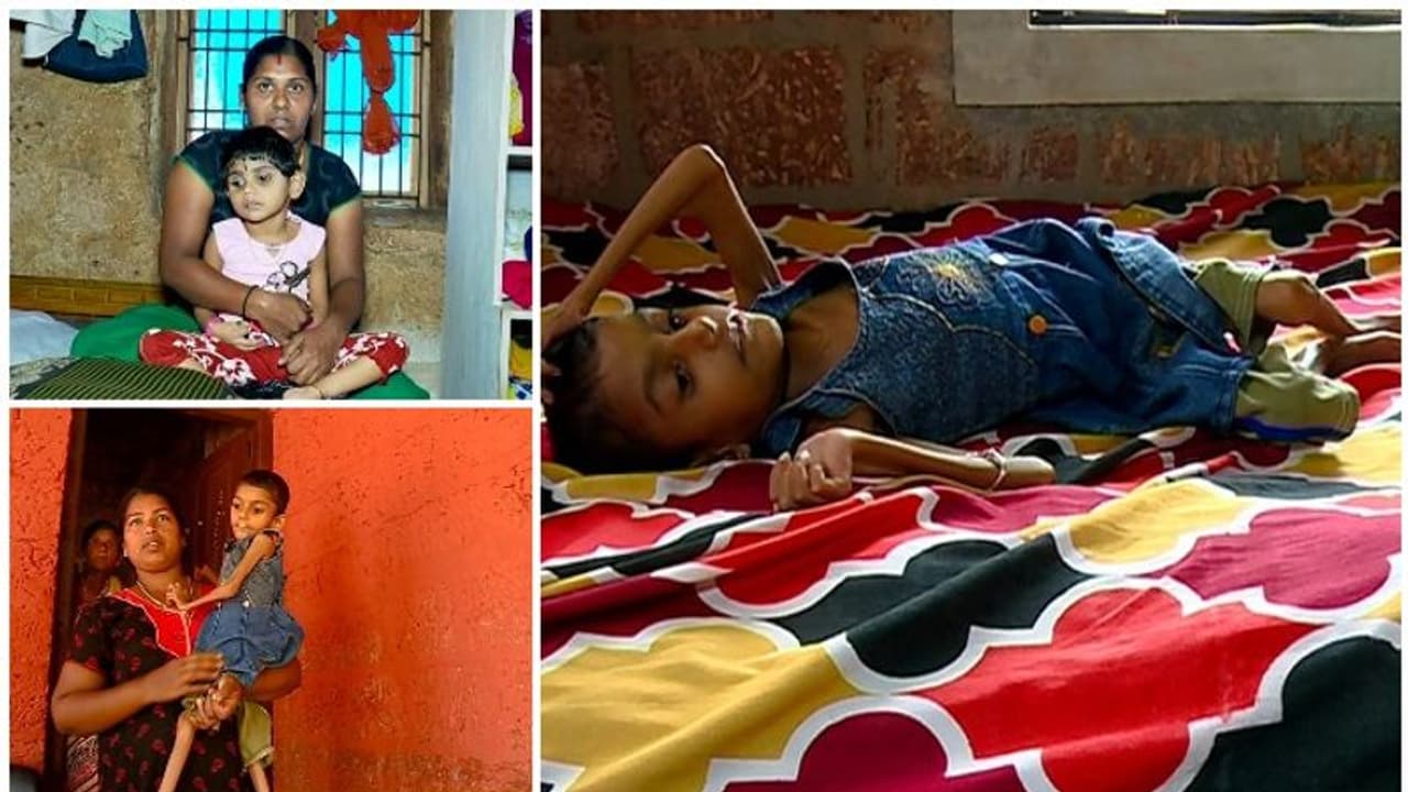 ഏഷ്യാനെറ്റ് ന്യൂസ് ഇംപാക്ട്; എന്ഡോസള്ഫാന് ബാധിതരായ 511 കുട്ടികള്ക്ക് പെന്ഷന് നൽകാൻ നിർദ്ദേശം ഏഷ്യാനെറ്റ് ന്യൂസ് ഇംപാക്ട്; എന്ഡോസള്ഫാന് ബാധിതരായ 511 കുട്ടികള്ക്ക് പെന്ഷന് നൽകാൻ നിർദ്ദേശം