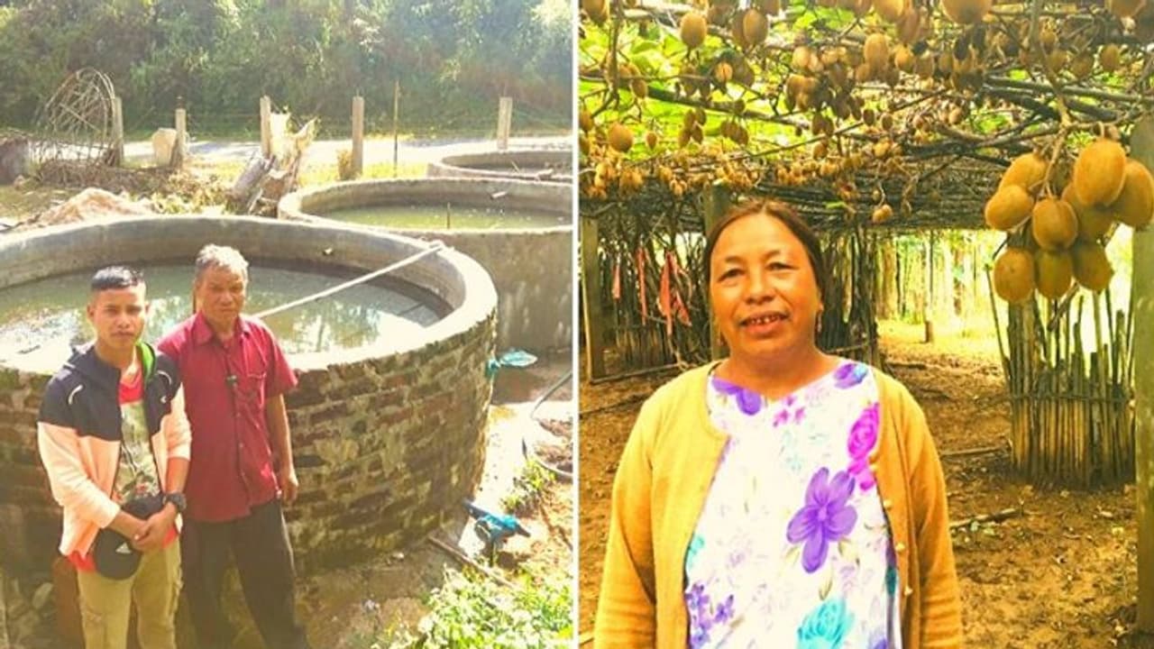 മത്സ്യം വളര്ത്താനുള്ള ടാങ്ക് നിര്മിക്കണോ? കിവി പഴത്തിന്റ തൈകള് വളര്ത്തണോ? ഈ കർഷകർ പഠിപ്പിക്കും മത്സ്യം വളര്ത്താനുള്ള ടാങ്ക് നിര്മിക്കണോ? കിവി പഴത്തിന്റ തൈകള് വളര്ത്തണോ? ഈ കർഷകർ പഠിപ്പിക്കും