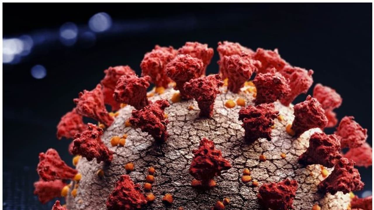 പിഎസ്‍സി പരീക്ഷകളിലും 'കൊറോണ' കടന്നു കൂടാൻ സാധ്യതയുണ്ട്; ഇക്കാര്യങ്ങളൊന്ന് ശ്രദ്ധിച്ചോളൂ...