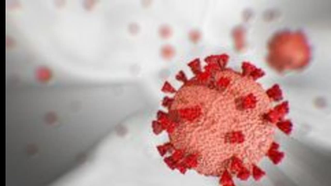 രോഗം ഭേദമായവരുടെ ശ്വാസകോശത്തില്‍ കൊറോണവൈറസ് ഒളിച്ചിരിക്കാമെന്ന് പഠനം
