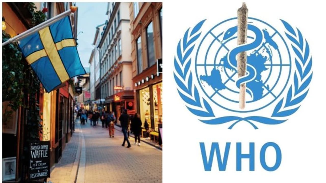 ലോക്ക്ഡൗൺ ഇല്ലാതെ തന്നെ കൊവിഡ് പ്രതിരോധം; ഈ രാജ്യം ലോകത്തിന് മികച്ച മാതൃകയെന്ന് ലോകാരോഗ്യസംഘടന ലോക്ക്ഡൗൺ ഇല്ലാതെ തന്നെ കൊവിഡ് പ്രതിരോധം; ഈ രാജ്യം ലോകത്തിന് മികച്ച മാതൃകയെന്ന് ലോകാരോഗ്യസംഘടന