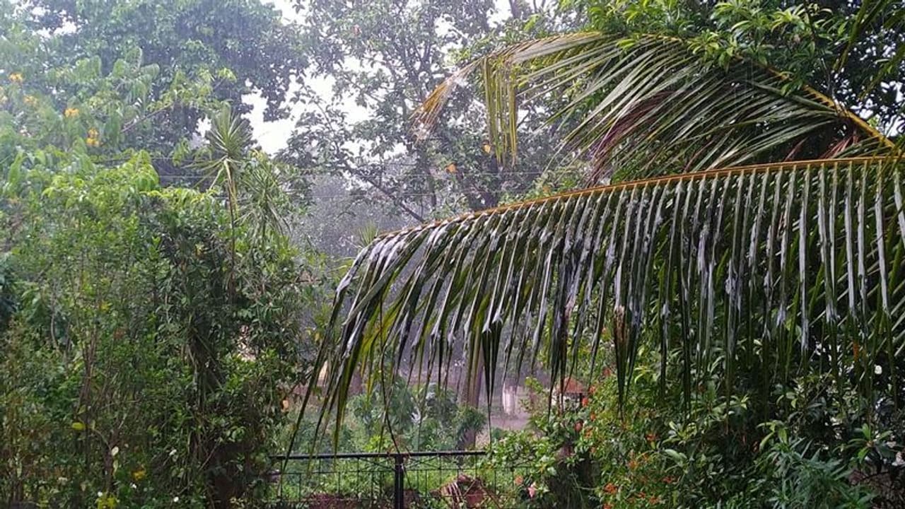 ಚಿಕ್ಕಮಗಳೂರು: ಬಿರುಗಾಳಿ ಸಹಿತ ಮಳೆಗೆ ಲಕ್ಷಾಂತರ ರೂ. ನಷ್ಟ ಚಿಕ್ಕಮಗಳೂರು: ಬಿರುಗಾಳಿ ಸಹಿತ ಮಳೆಗೆ ಲಕ್ಷಾಂತರ ರೂ. ನಷ್ಟ