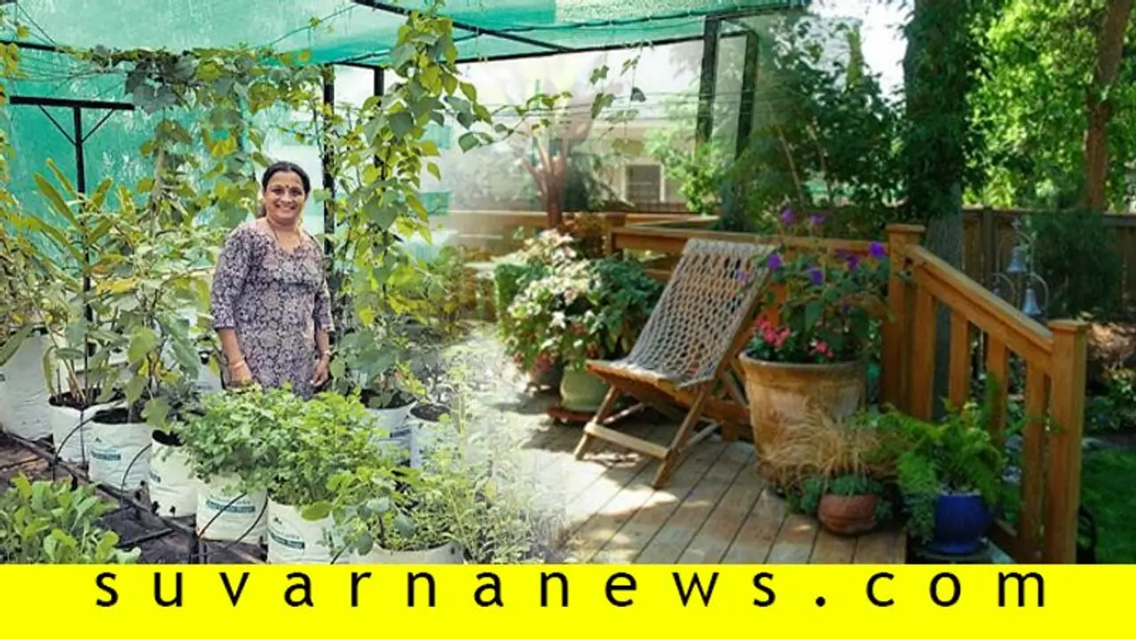 ಗಾರ್ಡನ್ ಅಂದಕ್ಕೆ ಬಿಸಿಲೇ ಕಂಟಕ; ಗಿಡ, ಬಳ್ಳಿಗೆ ಬೇಕು ವಿಶೇಷ ಆರೈಕೆ ಗಾರ್ಡನ್ ಅಂದಕ್ಕೆ ಬಿಸಿಲೇ ಕಂಟಕ; ಗಿಡ, ಬಳ್ಳಿಗೆ ಬೇಕು ವಿಶೇಷ ಆರೈಕೆ