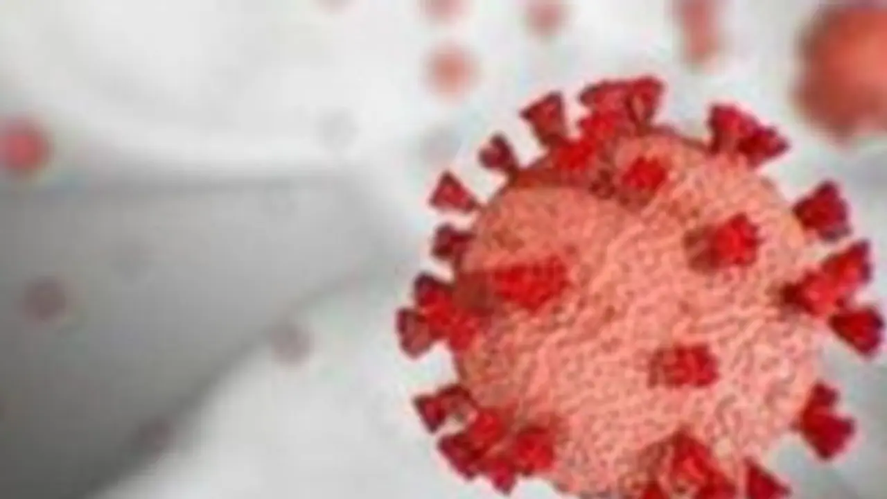 Karnataka registers highest single day spike with 67 COVID 19 cases