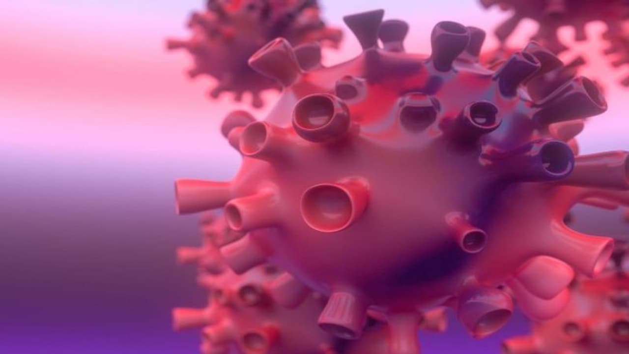 റിവേഴ്‌സ് ക്വാറന്റൈന്‍; മറക്കാതെ പ്രാവര്‍ത്തികമാക്കാം...