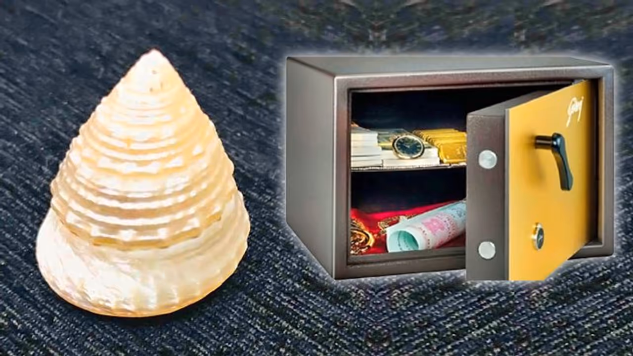 पैसों की तंगी दूर करने के लिए तिजोरी में रखें मोती शंख, पहले करें ये उपाय पैसों की तंगी दूर करने के लिए तिजोरी में रखें मोती शंख, पहले करें ये उपाय