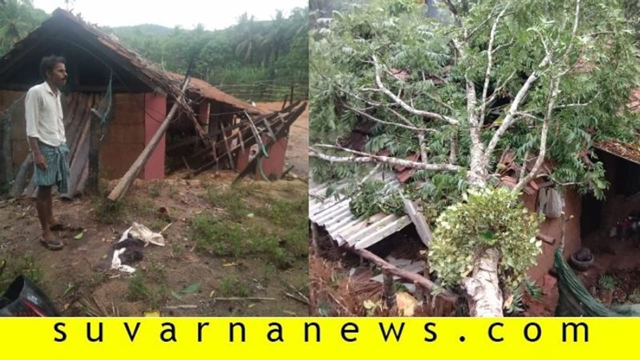 ಮಂಗಳೂರಿನ ವಿವಿಧೆಡೆ ಗಾಳಿ ಮಳೆ, ಅಪಾರ ಹಾನಿ ಮಂಗಳೂರಿನ ವಿವಿಧೆಡೆ ಗಾಳಿ ಮಳೆ, ಅಪಾರ ಹಾನಿ