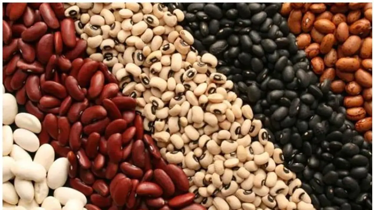 പ്രമേഹമുള്ളവർ പയർവർഗങ്ങൾ കഴിക്കണമെന്ന് പറയുന്നതിന്റെ കാരണം... പ്രമേഹമുള്ളവർ പയർവർഗങ്ങൾ കഴിക്കണമെന്ന് പറയുന്നതിന്റെ കാരണം...