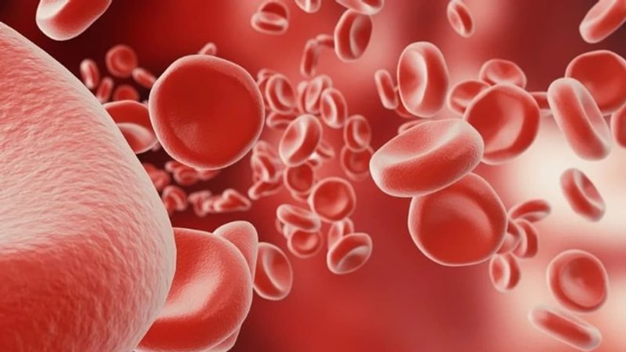 വിളര്ച്ചയുണ്ടോ? രക്തത്തിലെ ഹീമോഗ്ലോബിന് വര്ധിപ്പിക്കാന് കഴിക്കാം ഈ ഭക്ഷണങ്ങള്... വിളര്ച്ചയുണ്ടോ? രക്തത്തിലെ ഹീമോഗ്ലോബിന് വര്ധിപ്പിക്കാന് കഴിക്കാം ഈ ഭക്ഷണങ്ങള്...