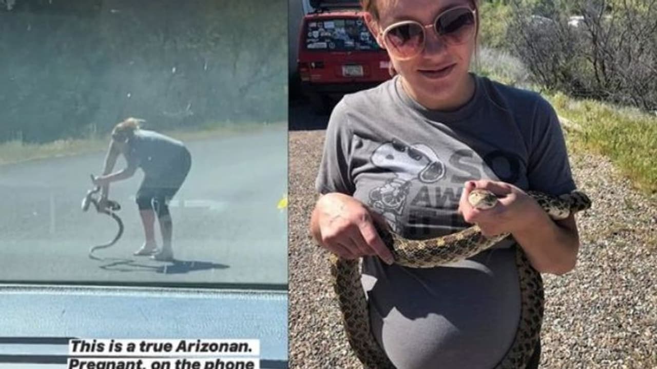 നടുറോഡിൽ കിടന്ന പാമ്പിനെ രക്ഷിച്ച് ഗർഭിണി; വീഡിയോ നടുറോഡിൽ കിടന്ന പാമ്പിനെ രക്ഷിച്ച് ഗർഭിണി; വീഡിയോ