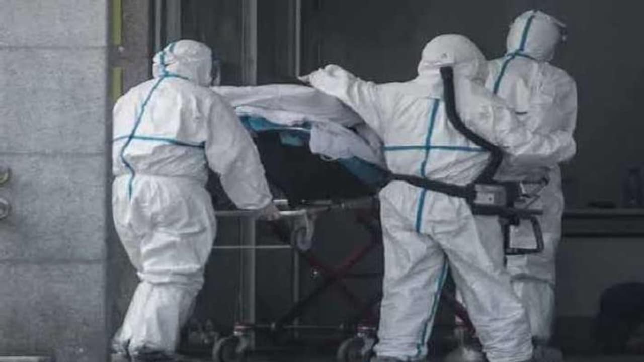 बिहार में कोरोना से एक और मौत, 9 नए मरीज मिले, 475 हुई राज्य में कोरोना मरीजों की कुल संख्या बिहार में कोरोना से एक और मौत, 9 नए मरीज मिले, 475 हुई राज्य में कोरोना मरीजों की कुल संख्या