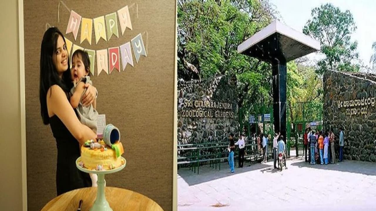 ಲಾಕ್ಡೌನ್: ಮೈಸೂರು ಝೂನ ಪ್ರಾಣಿಗಳ ರಕ್ಷಣೆಗೆ ಅಮೆರಿಕಾದಿಂದ ಬಂತು ಹಣ..! ಲಾಕ್ಡೌನ್: ಮೈಸೂರು ಝೂನ ಪ್ರಾಣಿಗಳ ರಕ್ಷಣೆಗೆ ಅಮೆರಿಕಾದಿಂದ ಬಂತು ಹಣ..!