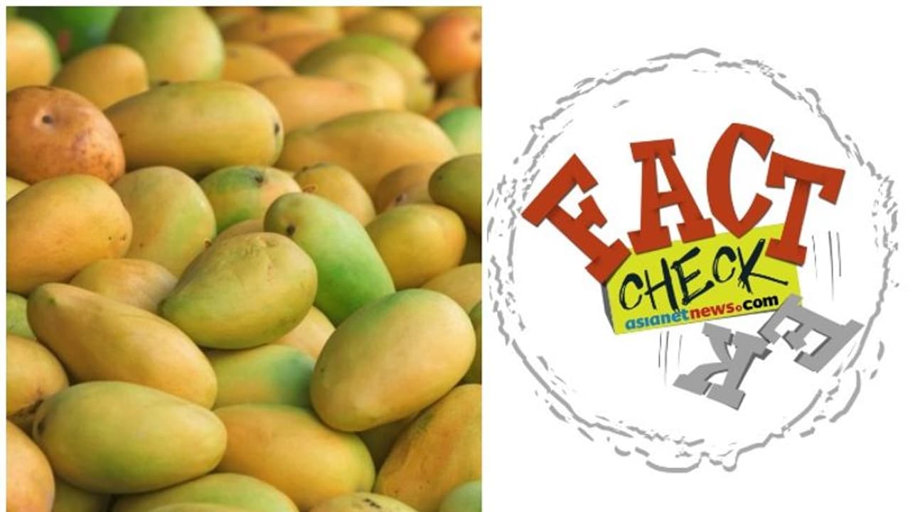 'കൊറോണ വൈറസിനെ നശിപ്പിക്കാന്‍ മാമ്പഴം'; പ്രചാരണങ്ങളിലെ വസ്തുത ഇതാണ്
