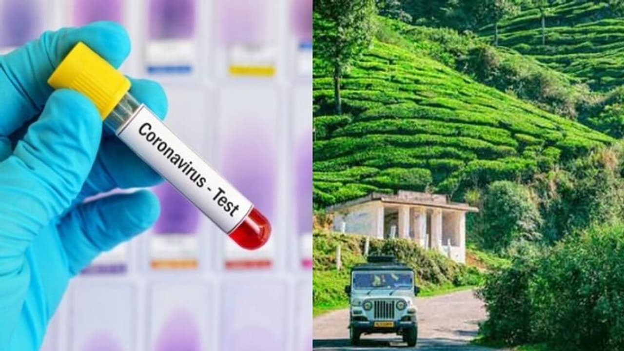 കൊവിഡ് 19: ആശങ്കകൾ ഒഴിയുന്നു; മൂന്നാറില് കൂടുതല് പേരുടെ പരിശോധനാഫലം നെഗറ്റീവ് കൊവിഡ് 19: ആശങ്കകൾ ഒഴിയുന്നു; മൂന്നാറില് കൂടുതല് പേരുടെ പരിശോധനാഫലം നെഗറ്റീവ്