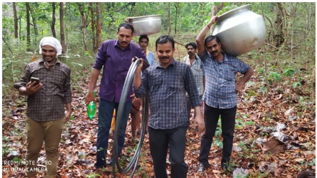 മരത്തിന് മുകളിൽ ഒളിപ്പിച്ച വാഷ് പിടിച്ചെടുത്ത് വനം വകുപ്പ്; നിലമ്പൂരിൽ പിടികൂടിയത് 425 ലിറ്റർ