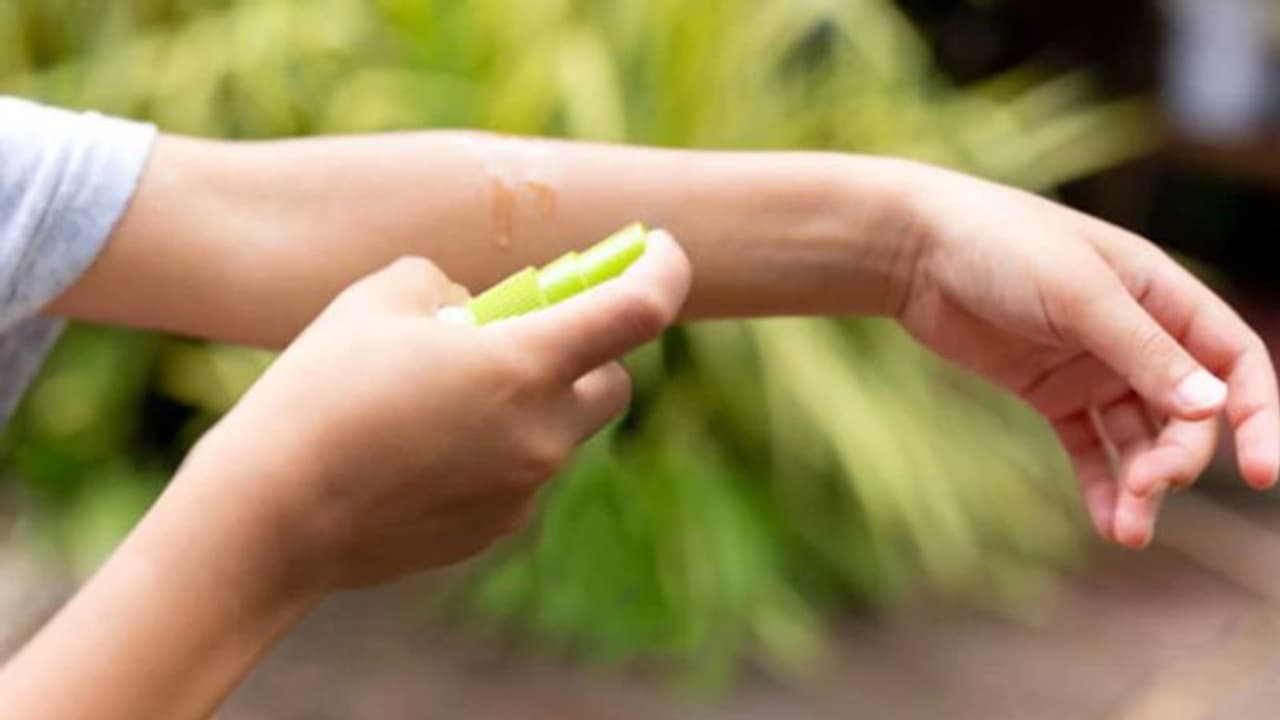 Mosquito menace: Make your own night time mosquito repellent with just 2 ingredients Mosquito menace: Make your own night time mosquito repellent with just 2 ingredients