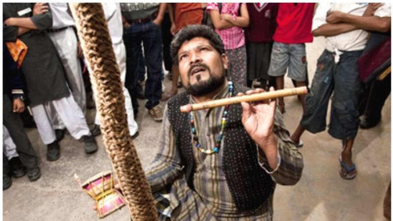 കയറിൽ കയറി അപ്രത്യക്ഷമാകുന്ന കുട്ടി, റോപ് ട്രിക്കിന്റെ തുടക്കവും ഒടുക്കവും എവിടെയാണ്? കയറിൽ കയറി അപ്രത്യക്ഷമാകുന്ന കുട്ടി, റോപ് ട്രിക്കിന്റെ തുടക്കവും ഒടുക്കവും എവിടെയാണ്?