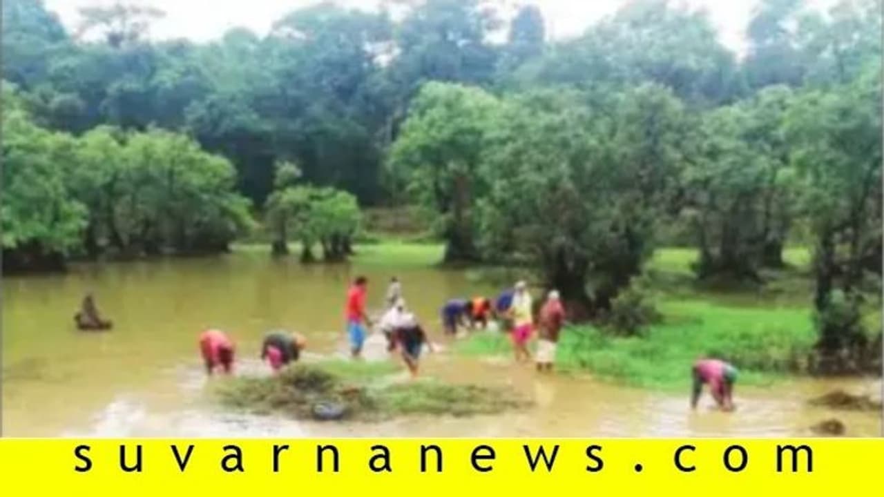 ಲಾಕ್ಡೌನ್ ಸಂಕಷ್ಟ: 3 ಸಾವಿರಕ್ಕೂ ಹೆಚ್ಚು ಕಾರ್ಮಿಕರಿಗೆ ನೆರವಾದ ನರೇಗಾ ಲಾಕ್ಡೌನ್ ಸಂಕಷ್ಟ: 3 ಸಾವಿರಕ್ಕೂ ಹೆಚ್ಚು ಕಾರ್ಮಿಕರಿಗೆ ನೆರವಾದ ನರೇಗಾ