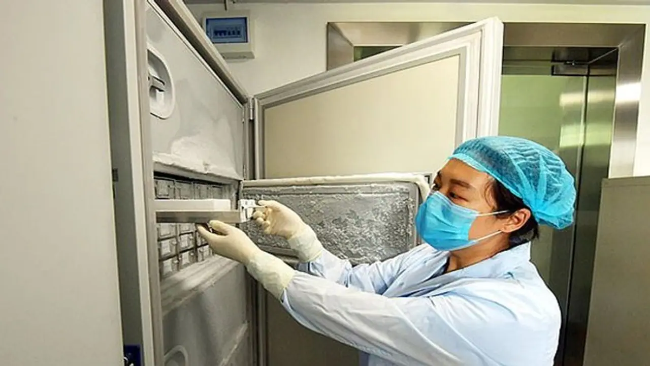 కొత్త జంట ఫస్ట్ నైట్ కి కరోనా దెబ్బ: వరుడు సహా 26 మంది క్వారంటైన్కి కొత్త జంట ఫస్ట్ నైట్ కి కరోనా దెబ్బ: వరుడు సహా 26 మంది క్వారంటైన్కి