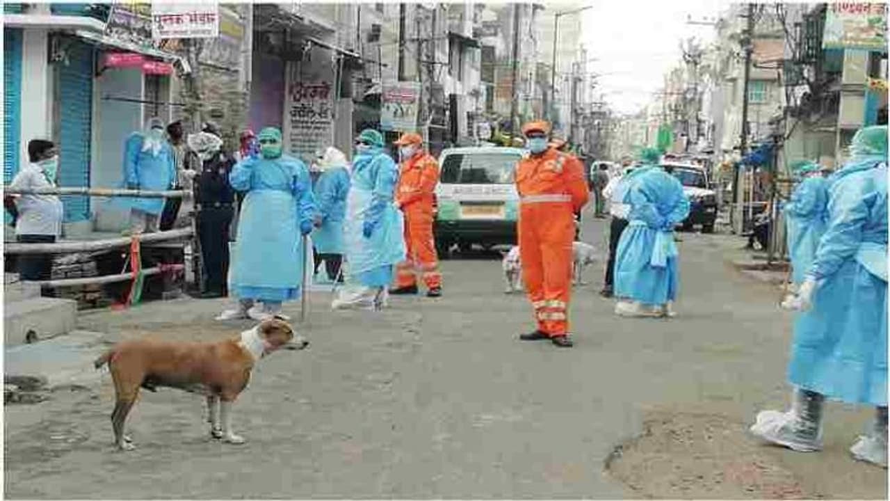 चार और पॉजिटिव, 485 पहुंची बिहार में कोरोना मरीजों की कुल संख्या; 10 फिट होकर लौटे घर चार और पॉजिटिव, 485 पहुंची बिहार में कोरोना मरीजों की कुल संख्या; 10 फिट होकर लौटे घर