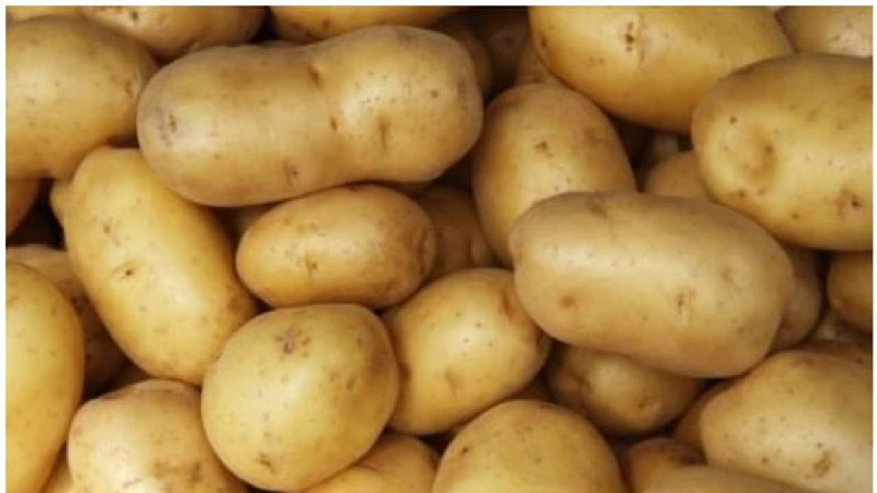 আলুর বাজারে আগুন, একলাফে বাড়ল ১৫০ টাকা আলুর বাজারে আগুন, একলাফে বাড়ল ১৫০ টাকা