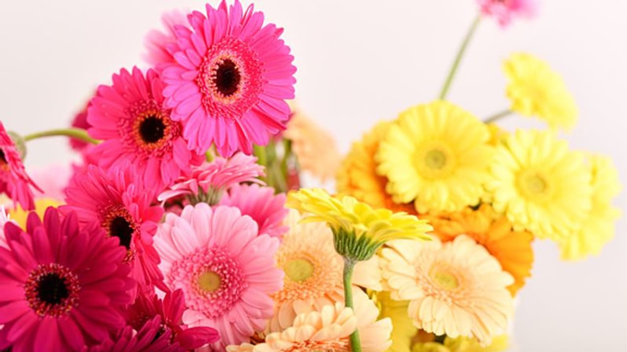 'പൂക്കള് അറിയുന്നില്ലല്ലോ ലോക്ക്ഡൗണാണെന്ന്, അത് പുഷ്പിച്ചുകൊണ്ടേയിരിക്കുന്നു ' 'പൂക്കള് അറിയുന്നില്ലല്ലോ ലോക്ക്ഡൗണാണെന്ന്, അത് പുഷ്പിച്ചുകൊണ്ടേയിരിക്കുന്നു '