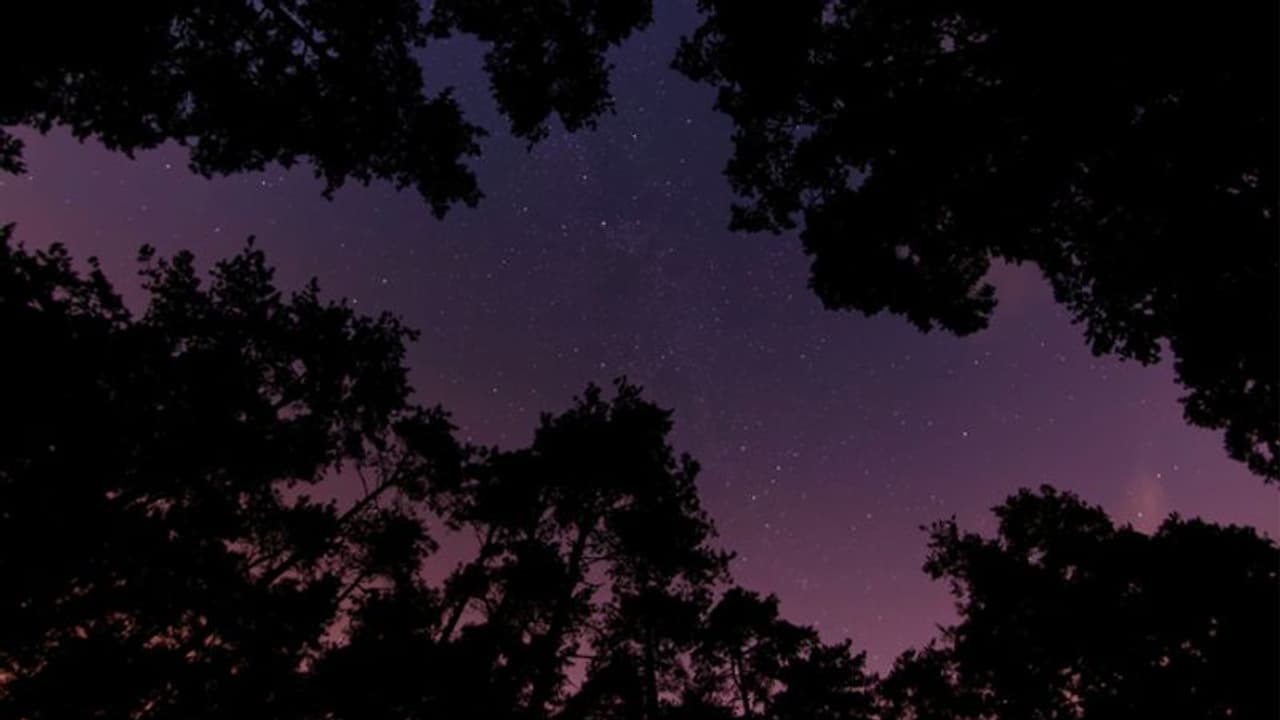 നഗ്നയാക്കി ബെൽറ്റുപയോഗിച്ച് അടിക്കുക, ക്രൂരമായി ഉപദ്രവിക്കുക; 'മന്ത്രവാദ വേട്ട'യ്ക്ക് ഇരയാക്കപ്പെടുന്നവർ