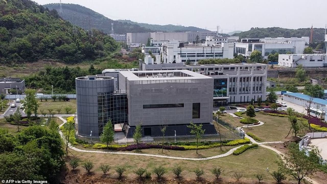 উহানের পরীক্ষাগার নিয়ে বেজিং সরাসরি চ্যালেঞ্জ ছুঁড়ে দিল আমেরিকাকে, দাবি জানান সম্পূর্ণ তথ্য পেশের উহানের পরীক্ষাগার নিয়ে বেজিং সরাসরি চ্যালেঞ্জ ছুঁড়ে দিল আমেরিকাকে, দাবি জানান সম্পূর্ণ তথ্য পেশের