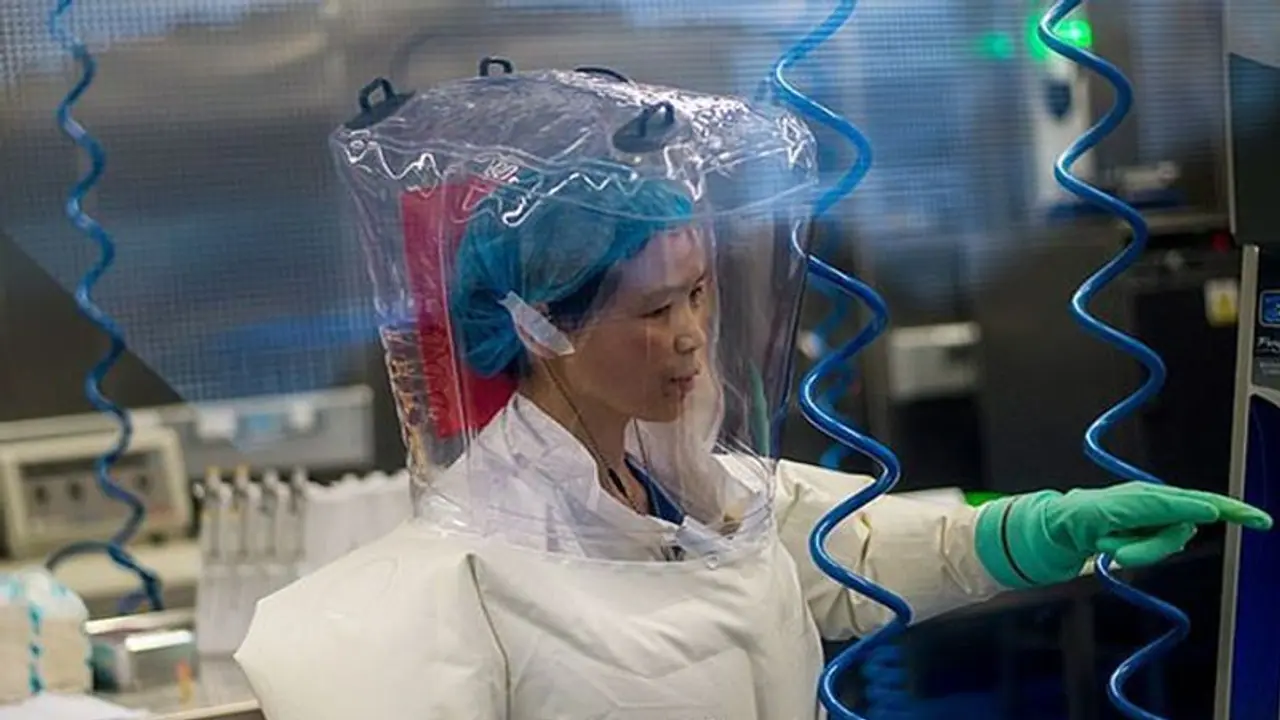 China's 'bat woman' warns coronavirus is just tip of the iceberg