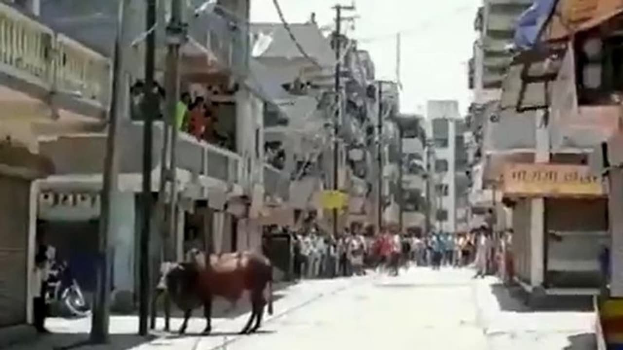 মোদীর রাজ্য থেকে বাড়ি ফেরার দাবি, অভিবাসী শ্রমিক ও পুলিশের সংঘর্ষ, দেখুন সেই ভিডিও মোদীর রাজ্য থেকে বাড়ি ফেরার দাবি, অভিবাসী শ্রমিক ও পুলিশের সংঘর্ষ, দেখুন সেই ভিডিও