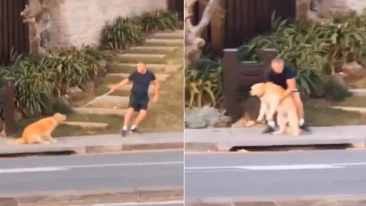 'ഞാന്‍ വരുന്നില്ലെന്നേ..' ; ഇത് ലോക്ഡൗണ്‍ കാലത്തെ 'സ്‌പെഷ്യല്‍' വീഡിയോ...