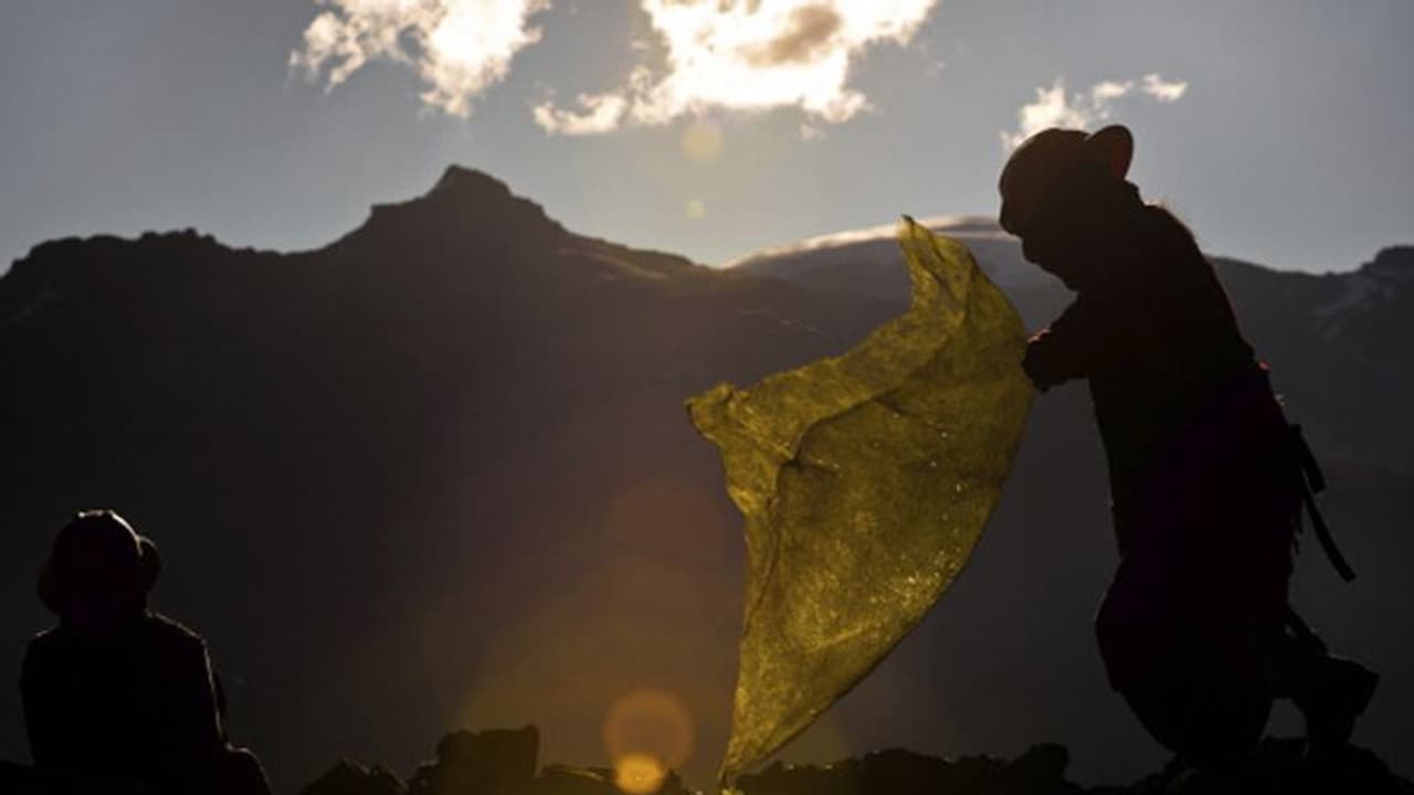 ജീവന്‍ പണയപ്പെടുത്തി സ്വര്‍ണത്തരികള്‍ പെറുക്കിയെടുത്ത് ഉപജീവനം കഴിക്കുന്ന ഒരു സമൂഹം