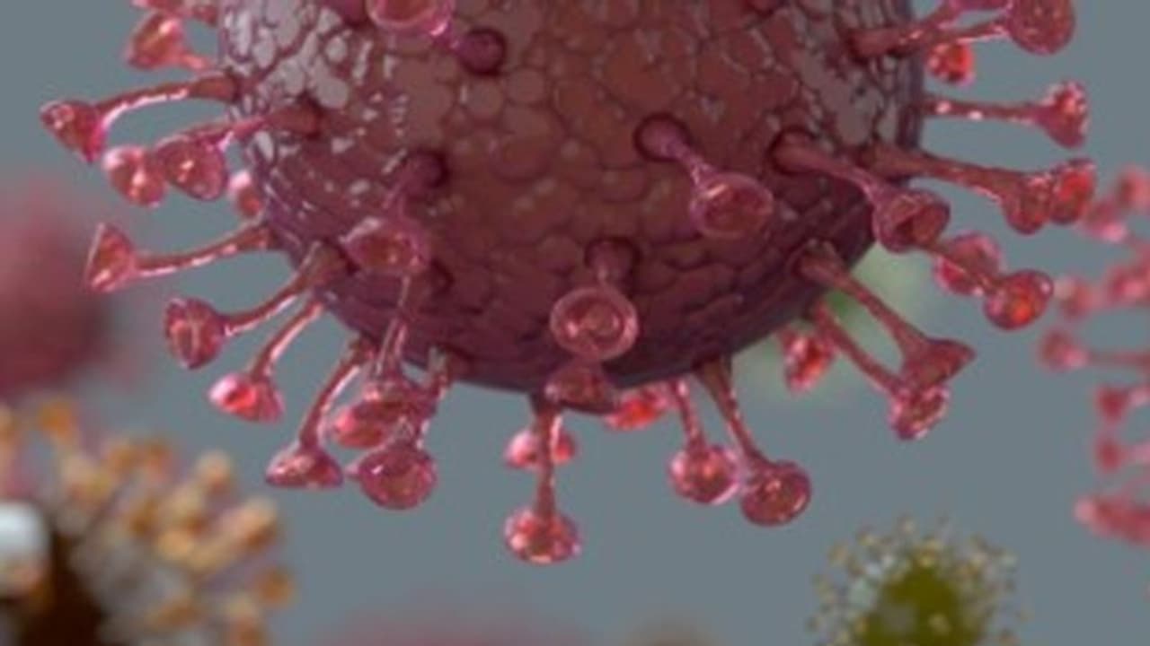 ఇండియాలో తగ్గని కరోనా విజృంభణ: 49 వేలు దాటిన పాజిటివ్ కేసులు ఇండియాలో తగ్గని కరోనా విజృంభణ: 49 వేలు దాటిన పాజిటివ్ కేసులు