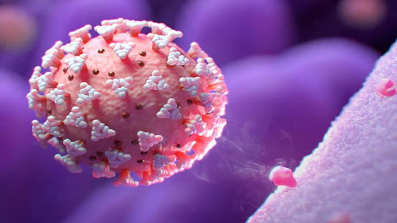 করোনা সংক্রান্ত ১২ গুজব, বিশ্বাস করলেই ঠকতে হবে আপনাকে