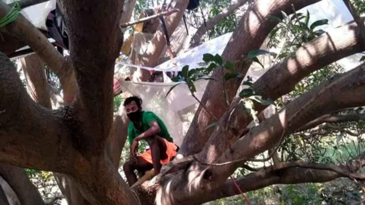 200 കിലോമീറ്റര് താണ്ടി നാട്ടിലെത്തി; പിന്നാലെ മുള കൊണ്ട് കുടിലുണ്ടാക്കി, മരത്തെ ക്വാറന്റൈനാക്കിയ തൊഴിലാളി 200 കിലോമീറ്റര് താണ്ടി നാട്ടിലെത്തി; പിന്നാലെ മുള കൊണ്ട് കുടിലുണ്ടാക്കി, മരത്തെ ക്വാറന്റൈനാക്കിയ തൊഴിലാളി