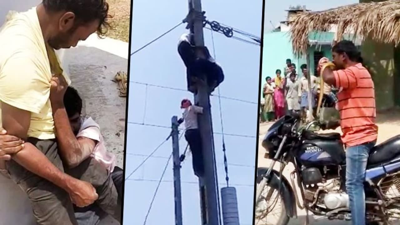 Liquor sales begin: Alcoholics bite snakes, climb poles, even murder people in Karnataka Liquor sales begin: Alcoholics bite snakes, climb poles, even murder people in Karnataka