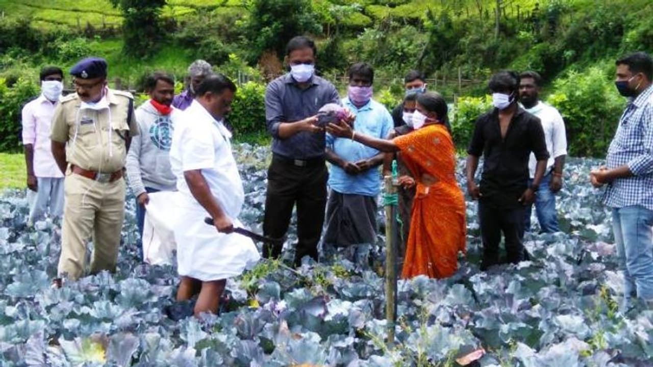 പച്ചക്കറി കൃഷിയിലെ ലാഭം മുഴുവന്‍ മുഖ്യമന്ത്രിയുടെ ദുരിതാശ്വാസനിധിയിലേക്ക് സംഭാവന നല്‍കി കര്‍ഷകന്‍