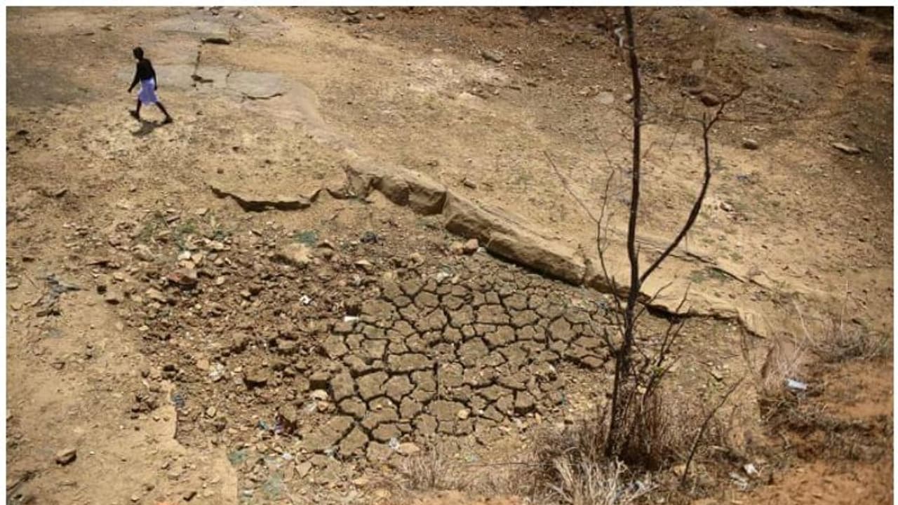 2070 ആകുമ്പോഴേക്കും ഇന്ത്യയെ കാത്തിരിക്കുന്നത് സഹിക്കാവുന്നതിലും അപ്പുറം ചൂട്