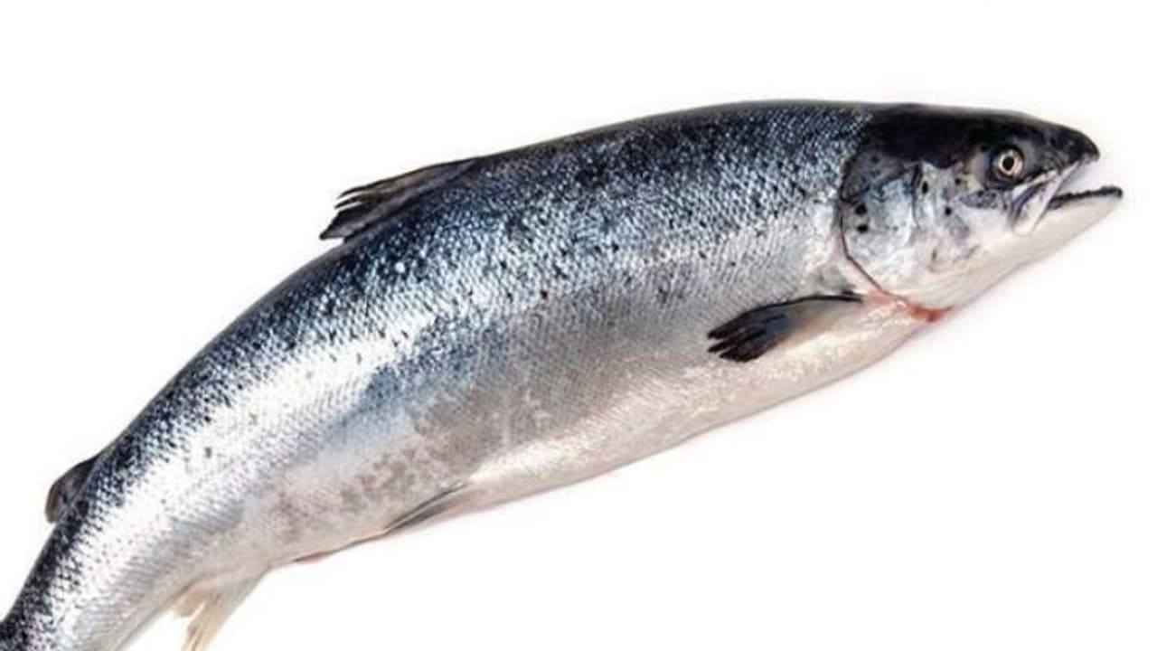 മാസ്‌കില്ലാതെ എന്തിനാണ് മരുന്ന് വാങ്ങാനെത്തിയതെന്ന് നഴ്സ്; പിന്നാലെ മീൻ വാങ്ങി നൽകി ഗ്രാമീണൻ !